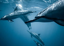 LeyuSports：科技让运动更有温度，数据驱动的成长之路